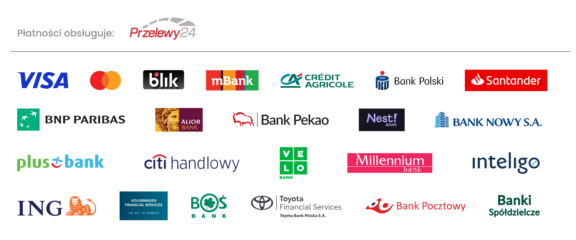 Płatności obsługuje Przelewy24 — Visa, Mastercard, BLIK, banki